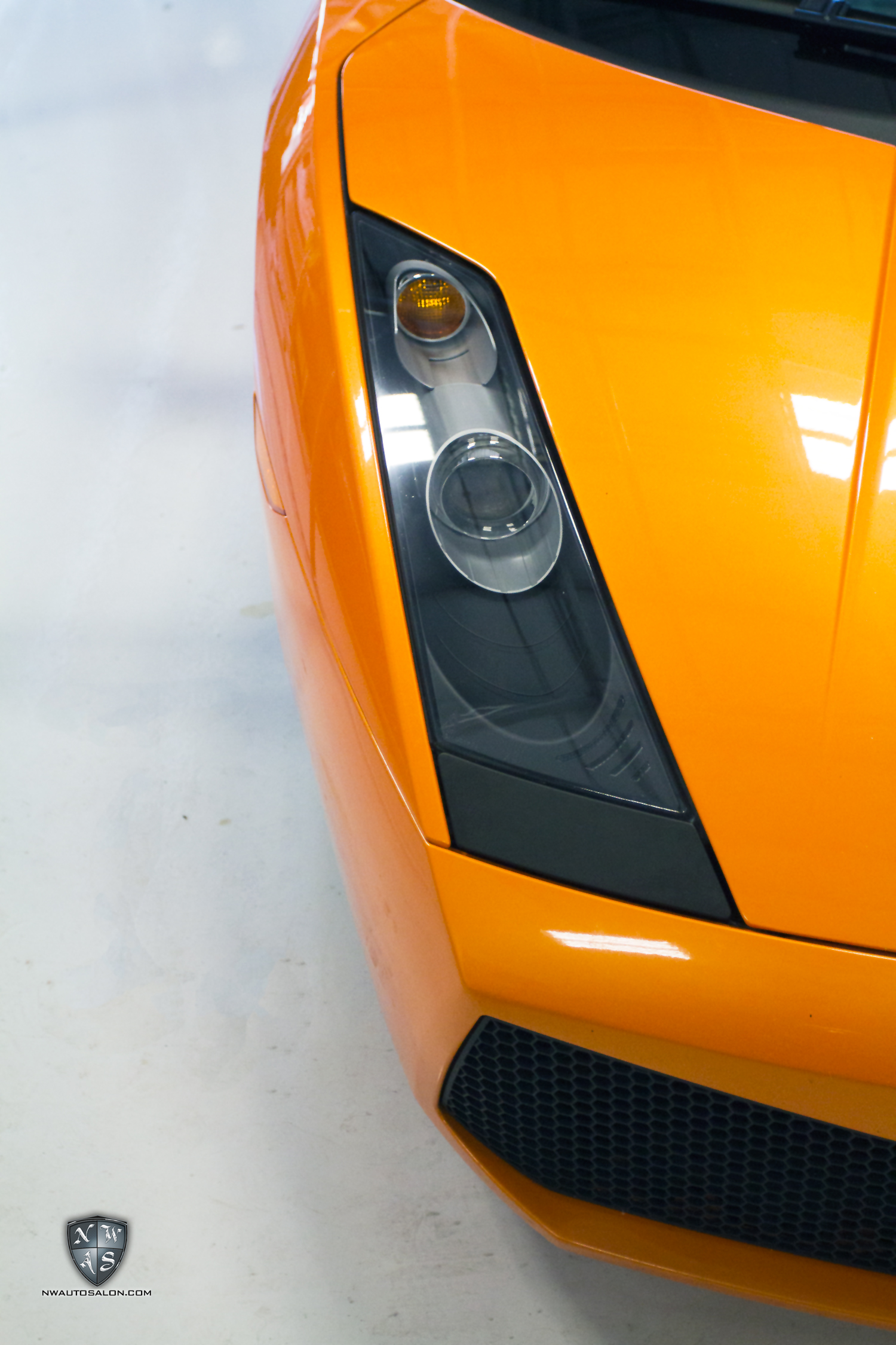 Gallardo Headlight Restoration & Protection for Cats